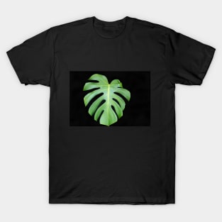 Bright green monstera leaf on black background closeup T-Shirt